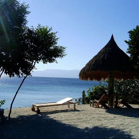 Sea Turtle House Moalboal Hotel Exterior foto