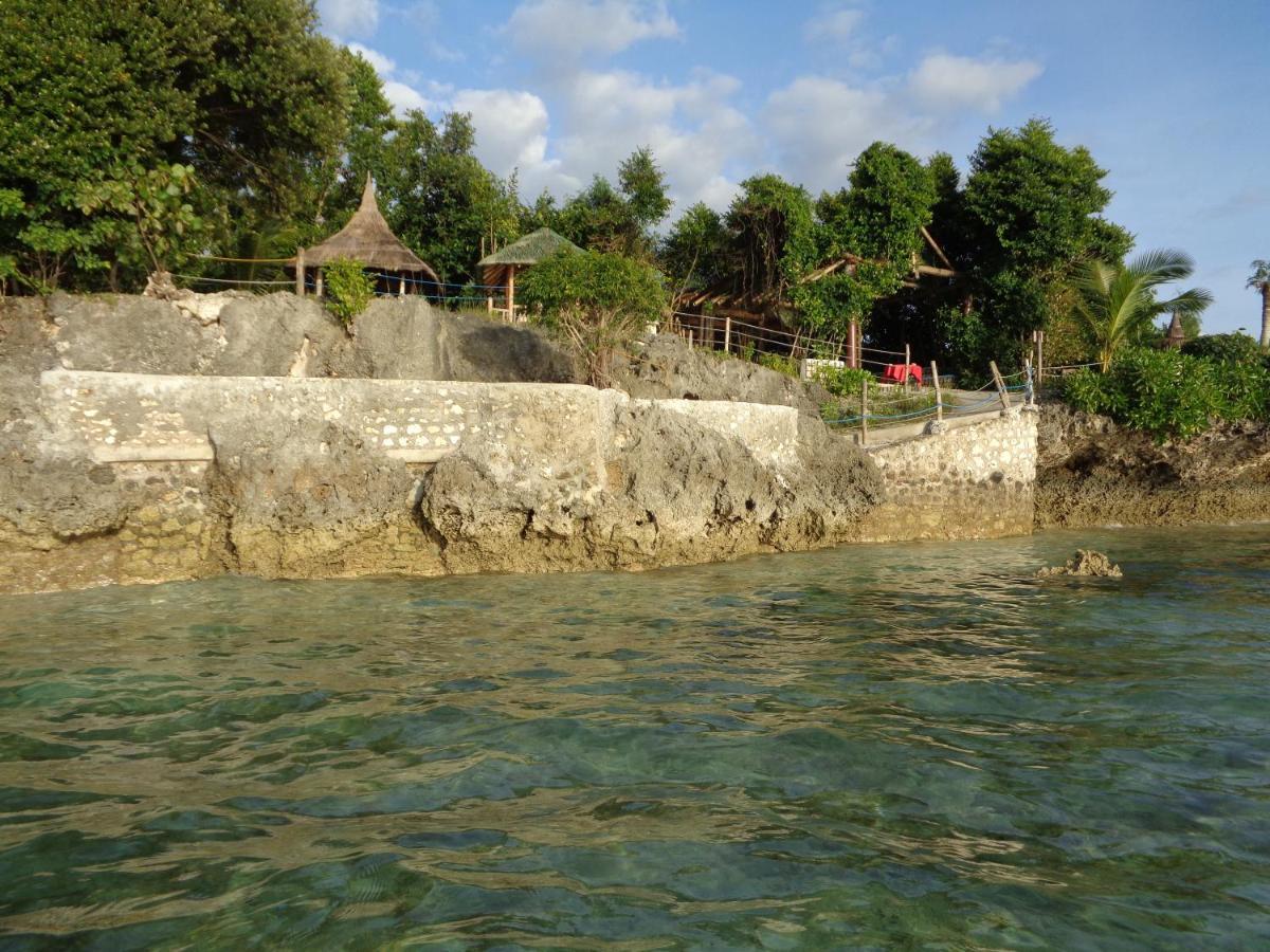 Sea Turtle House Moalboal Hotel Exterior foto