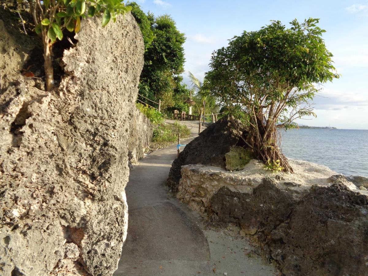 Sea Turtle House Moalboal Hotel Exterior foto