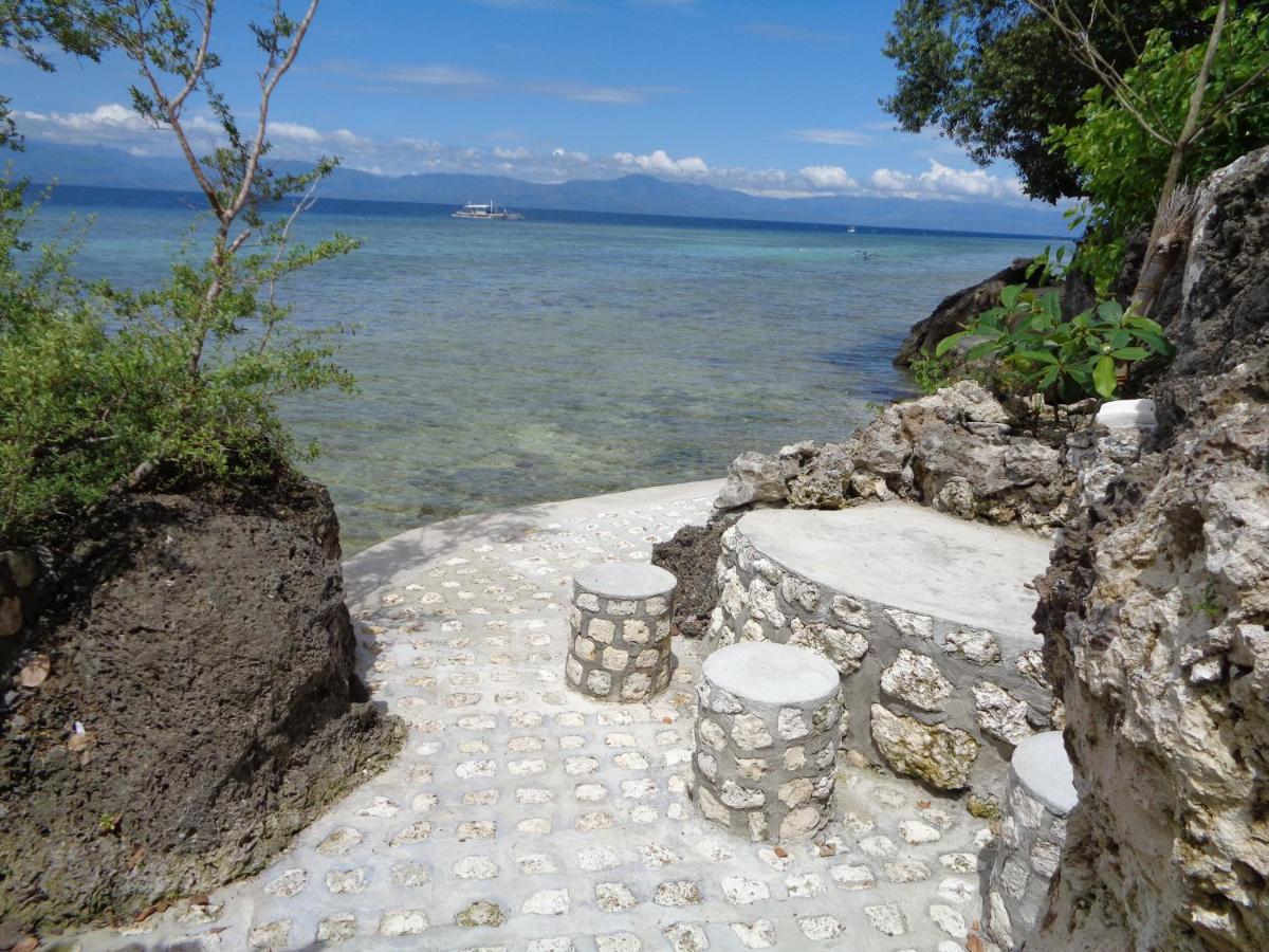 Sea Turtle House Moalboal Hotel Exterior foto
