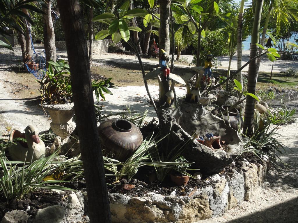 Sea Turtle House Moalboal Hotel Exterior foto