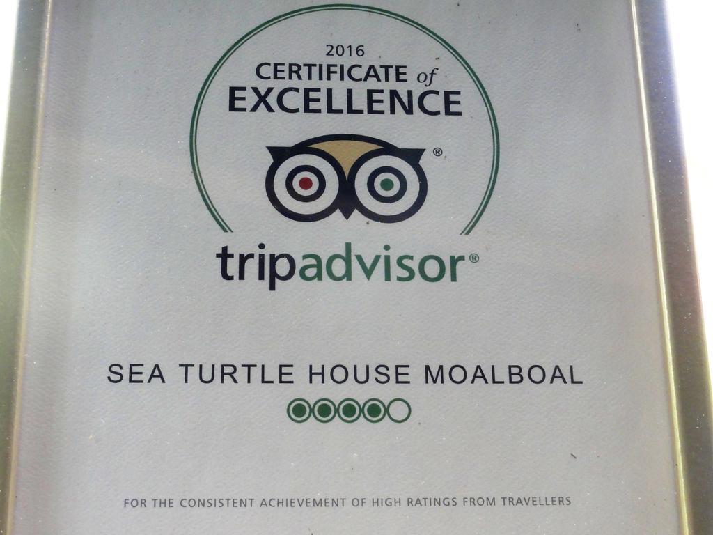 Sea Turtle House Moalboal Hotel Exterior foto