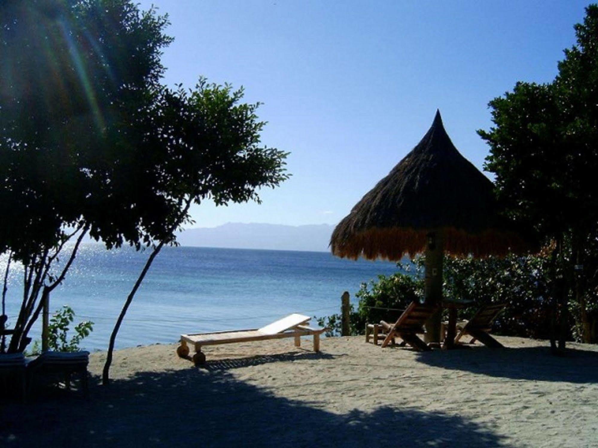 Sea Turtle House Moalboal Hotel Exterior foto
