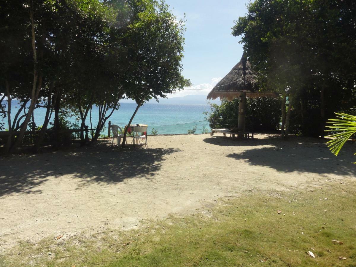 Sea Turtle House Moalboal Hotel Exterior foto