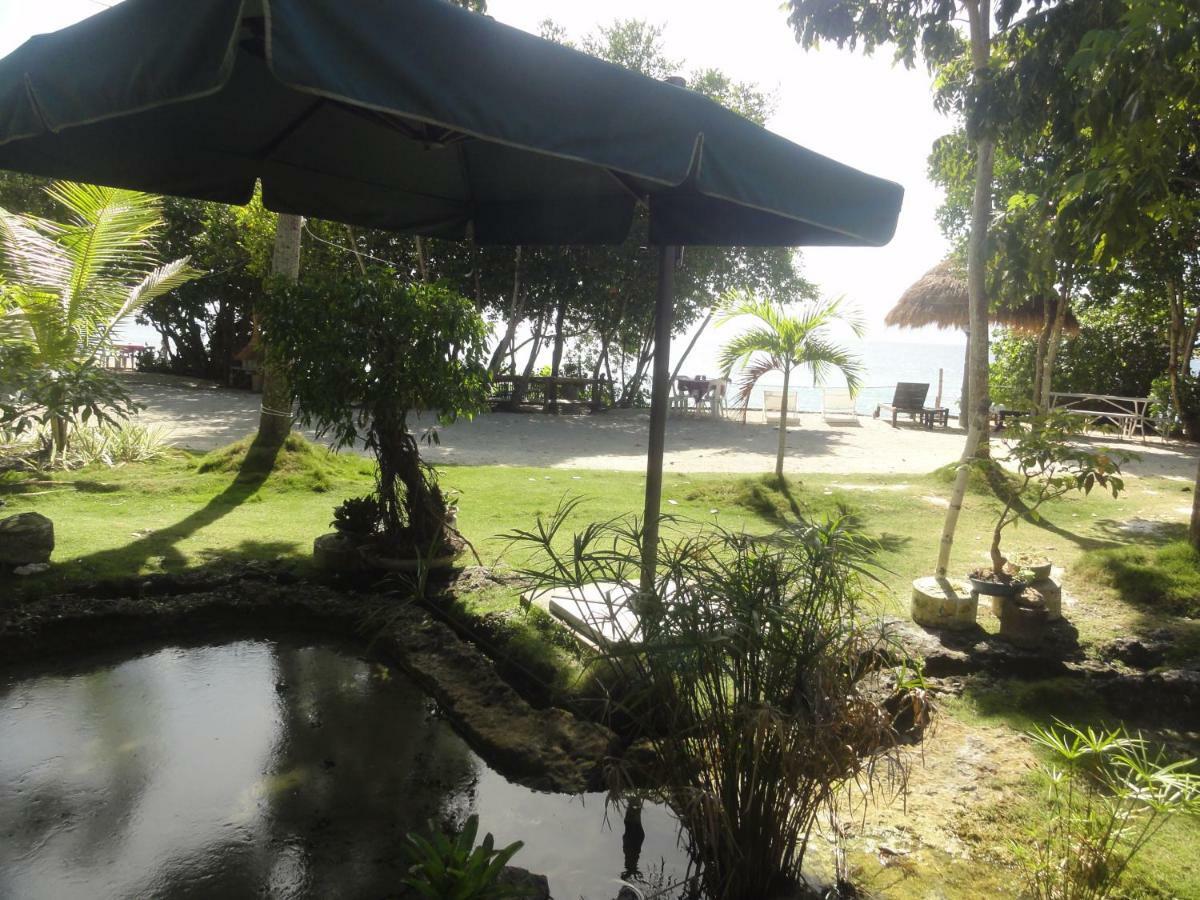 Sea Turtle House Moalboal Hotel Exterior foto