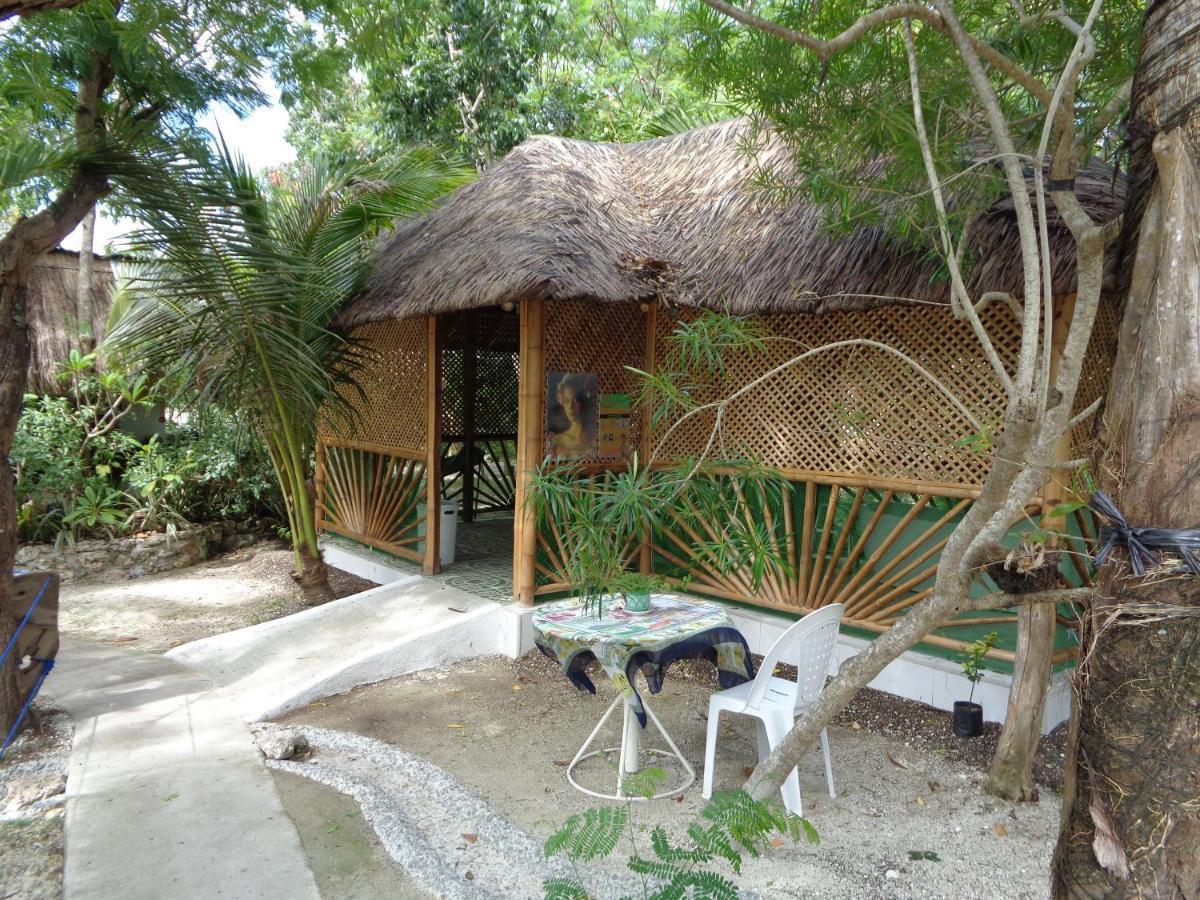Sea Turtle House Moalboal Hotel Exterior foto