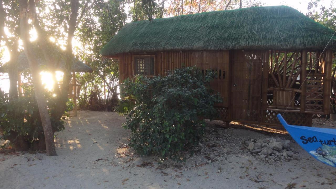 Sea Turtle House Moalboal Hotel Exterior foto