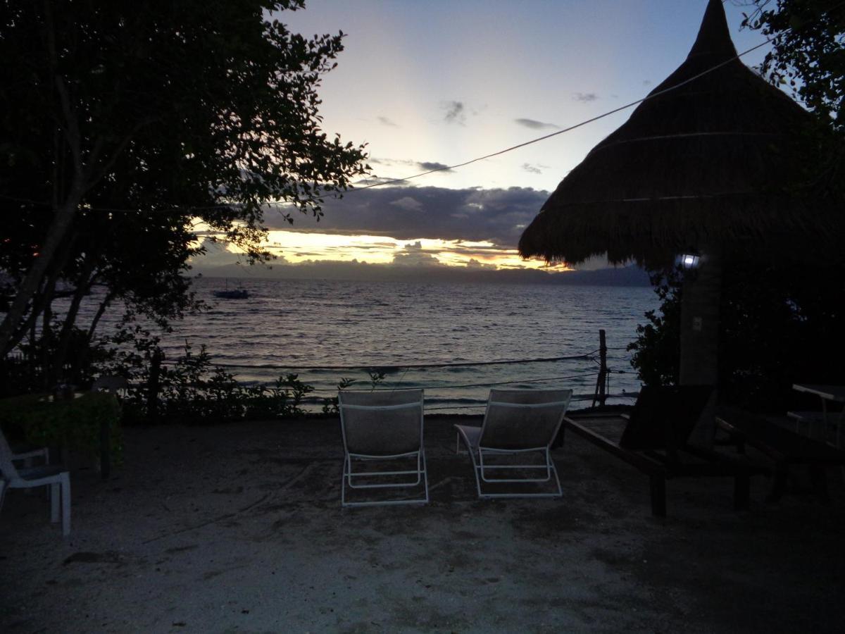 Sea Turtle House Moalboal Hotel Exterior foto