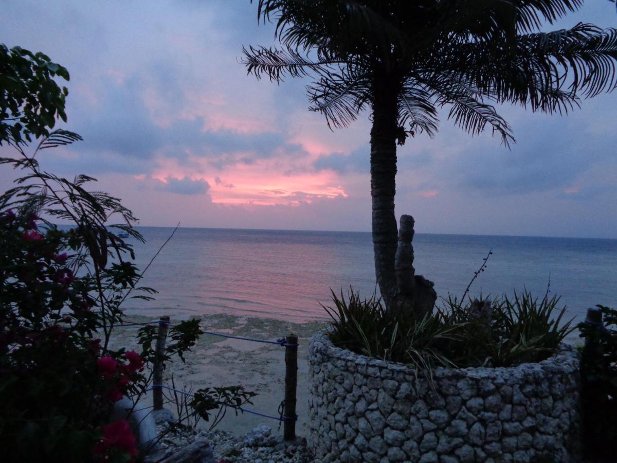 Sea Turtle House Moalboal Hotel Exterior foto